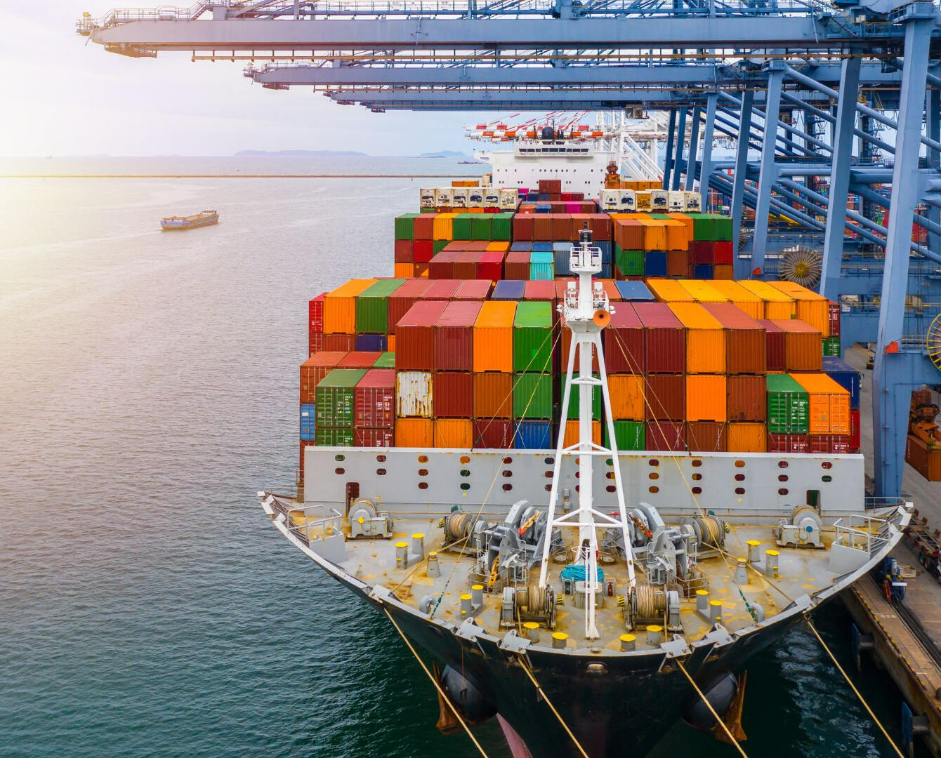 Yewl Coffee Yewl Coffee International Shipping